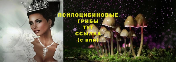 спиды Белокуриха